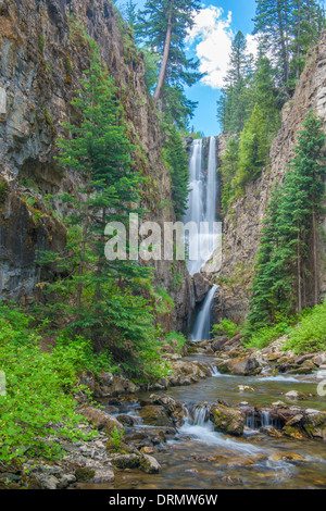 Mystic Falls, montagnes de San Juan, au Colorado Banque D'Images