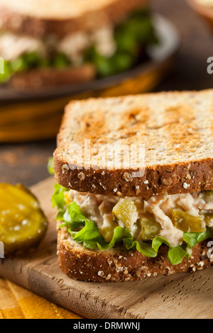 Sandwich au thon en bonne santé avec de la laitue et un côté de plaquettes Banque D'Images