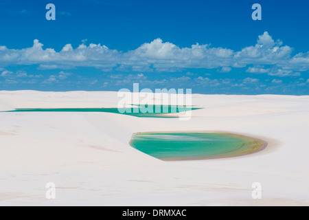 Les étangs d'eau de pluie vert piégés dans dunes blanches, Parc National Lencois Maranhenses, le Brésil, l'Océan Atlantique Banque D'Images