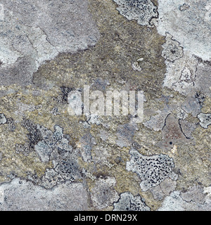 Modèle logique - roche de granit gris avec lichen du nord Banque D'Images