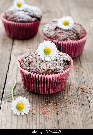 Muffins au chocolat Banque D'Images