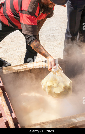 Cuisine traditionnelle Maori Hangi dans un évent de vapeur géothermique. Réserve thermale de Whakarewarewa Village de Rotorua Nouvelle Zélande Banque D'Images