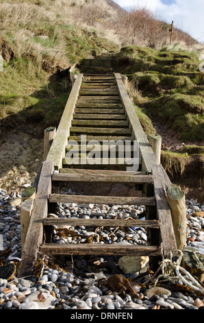 Marches en bois menant à une plage de galets Banque D'Images