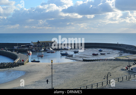 La Cobb, Lyme Regis, dans le Dorset, UK. Novembre à marée basse Banque D'Images