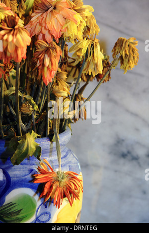 Les fleurs mortes dans un vase coloré Banque D'Images