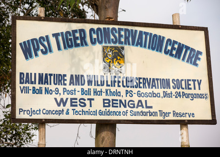 Poster un tigre dans les Sunderbans une zone de basse altitude du delta du Gange, qui est vulnérable à la montée du niveau de la mer, de l'Inde, qui est la plus grande réserve de tigres au monde. Banque D'Images