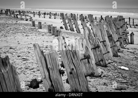 Des gronnes de mer en bois sur la plage à point d'épiété. Banque D'Images