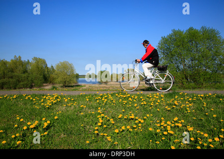 Cycliste sur route de l'Elbe à Damnatz, Basse-Saxe, Allemagne, Europe Banque D'Images