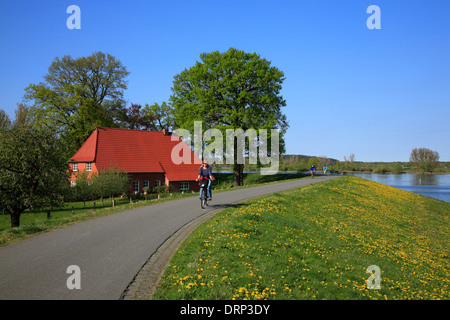 Cycliste sur route de l'Elbe à Damnatz, Basse-Saxe, Allemagne, Europe Banque D'Images