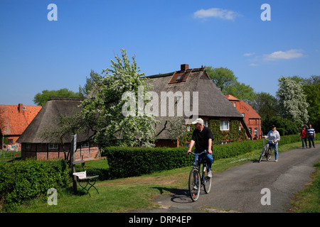 Les cyclistes sur route du cycle de l'Elbe, Marschhufendorf Konau, Amt Neuhaus Elbe, Basse-Saxe, Europe Banque D'Images