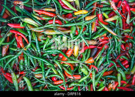 Arrière-plan de hot chili peppers sur le marché Banque D'Images