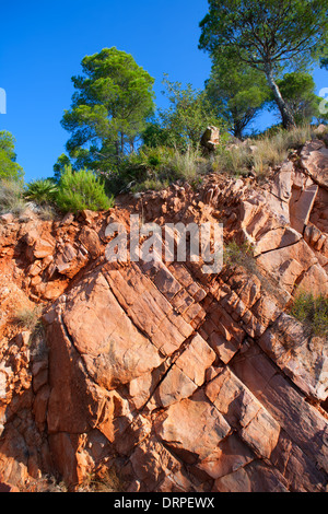 Castellon Desierto de las Palmas montagnes rouges du désert avec des pins à l'Espagne Banque D'Images