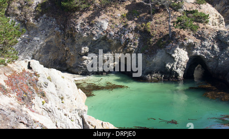 Chine Cove, Point Lobos State Park, Californie Banque D'Images