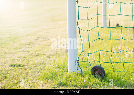 L'herbe verte et poteau de but sur un terrain de football (soccer) Banque D'Images