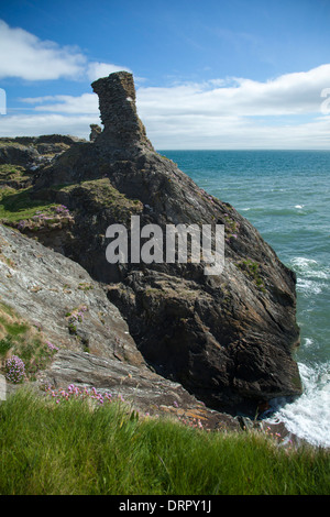 Le Château noir près de Wicklow Town, comté de Wicklow, en Irlande. Banque D'Images