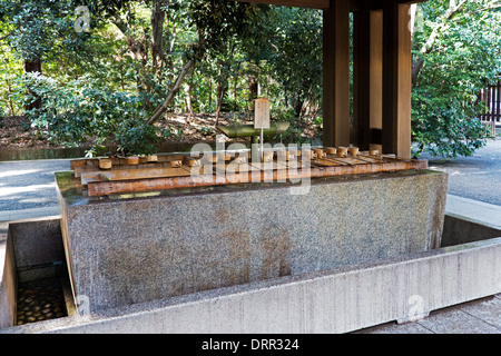 Station de purification rituelle, le sanctuaire de Meiji, Tokyo, Japon Banque D'Images