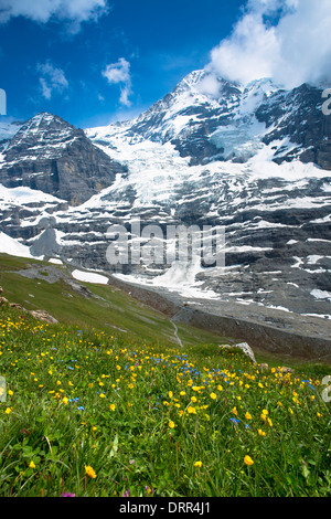 Glacier de l'Eiger, Monch, Eigergletscher entre (Monk) et les montagnes de l'Eiger dans les Alpes Suisses, Oberland Bernois, Suisse Banque D'Images