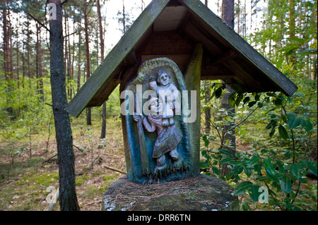 Règlement de l'ermite dans le parc national de Biebrza, dans le nord-est de la Pologne. L'auto-nommé roi de Biebrza. Banque D'Images