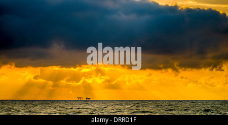 Sous l'Eau, Paysage--- offshore, photographe, basé aux Pays-Bas. Banque D'Images