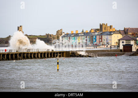 Aberystwyth, Pays de Galles, Royaume-Uni 1 février 2014. Une marée haute à Aberystwyth, une petite ville déjà malmenée par les récentes tempêtes, provoque des vagues énormes de briser contre la promenade de la mer et de défense. Plus de 400 étudiants ont été déplacées de leurs salles de front par mesure de précaution. Heureusement, le samedi matin, les coups de vent qui avait été craint, n'a pas eu lieu. Les vagues étaient, cependant, toujours spectaculaire. Credit : atgof.co/Alamy Live News Banque D'Images