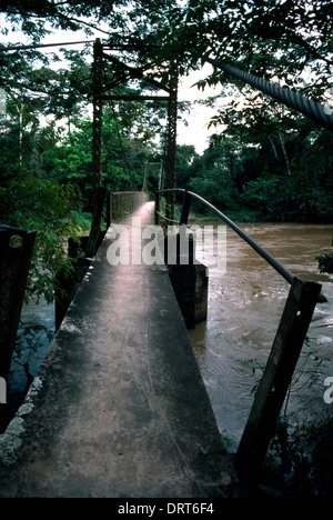 Osogbo Nigeria bosquet sacré Osun-Osogbo considérée comme la déesse des sculptures et oeuvres d'Osun demeure sont en l'honneur d'Osun et autres divinités pont suspendu au-dessus de la rivière Oshun Site du patrimoine mondial de l'UNESCO Banque D'Images