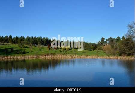 Bedgebury Pinetum National et forêt, Goudhurst, Kent, TN17 2SJ, Royaume-Uni Banque D'Images