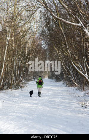 La promenade du chien dans la neige, Teesside, Angleterre Banque D'Images