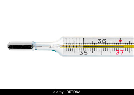 Thermomètre indique la température corporelle élevée Banque D'Images