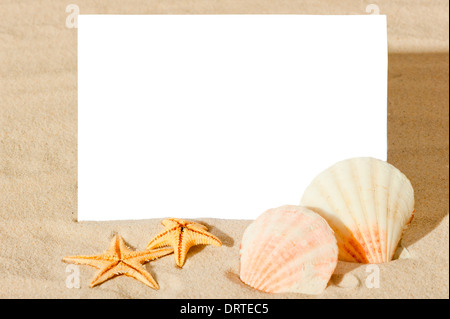 Feuille blanche vierge et les coquillages sur la plage Banque D'Images