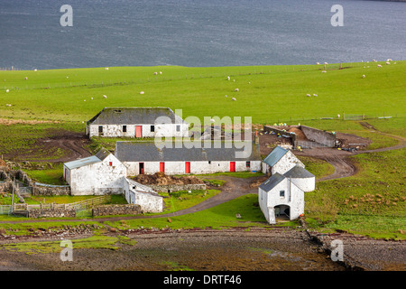 Fermes dans un domaine, le Loch Harport, île de Skye, Hébrides intérieures, Écosse, Royaume-Uni, Europe. Banque D'Images