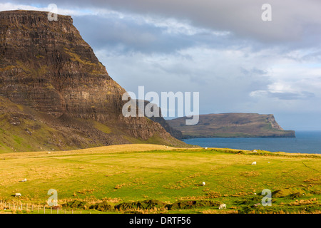 Vue d'Waterstein Head Ramasaig et falaises, Moonen Bay, île de Skye, Hébrides intérieures, Écosse, Royaume-Uni, Europe. Banque D'Images