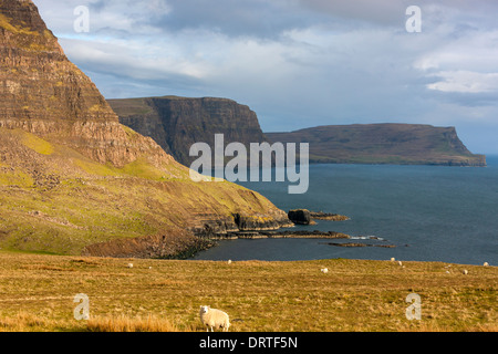 Vue d'Waterstein Head Ramasaig et falaises, Moonen Bay, île de Skye, Hébrides intérieures, Écosse, Royaume-Uni, Europe. Banque D'Images