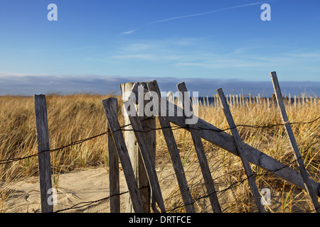 Le long de la clôture Weathered Cape Cod National Seashore à Provincetown dans le Massachusetts Banque D'Images