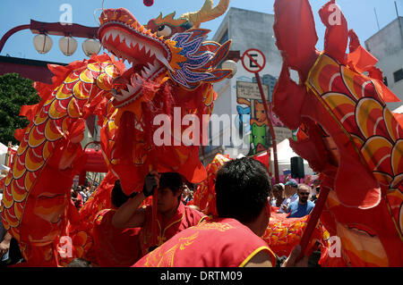 Sao Paulo, Brésil. 1er février, 2014. Les gens prennent part aux célébrations du Nouvel An lunaire chinois, au district de Liberdade, à Sao Paulo, Brésil, le 1 février 2014. Credit : Rahel Patrasso/Xinhua/Alamy Live News Banque D'Images