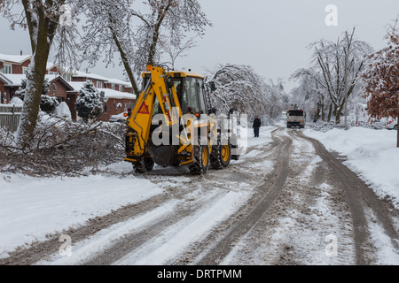 Une tempête de glace historiques des bas des arbres, coupe l'alimentation, les manteaux des foyers et fait des ravages dans la région du Grand Toronto laissant étourdis résidents Banque D'Images