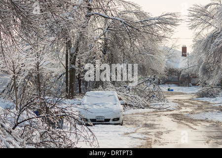 Une tempête de glace historiques des bas des arbres, coupe l'alimentation, les manteaux des foyers et fait des ravages dans la région du Grand Toronto laissant étourdis résidents Banque D'Images