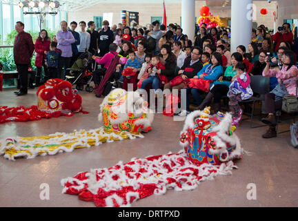 Toronto, Canada. 1er février, 2014. Les gens regardent les performances pendant la célébration du Nouvel An chinois 2014 au Centre Civique de Markham à Markham, la région du Grand Toronto, Canada, le 1 février 2014. Credit : Zou Zheng/Xinhua/Alamy Live News Banque D'Images