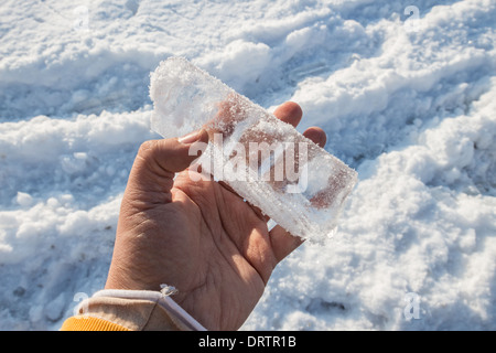 Une tempête de glace historiques des bas des arbres, coupe l'alimentation, les manteaux des foyers et fait des ravages dans la région du Grand Toronto laissant étourdis résidents Banque D'Images