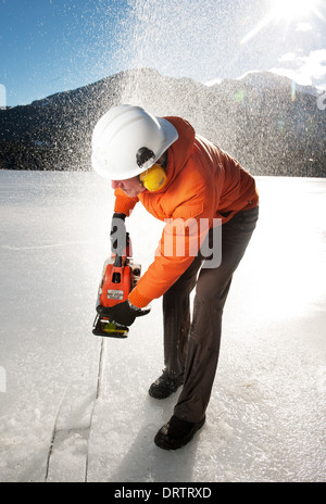 Un homme traverse un lac gelé avec une tronçonneuse pour récolter des blocs pour un concours de sculptures de glace. Whistler, BC, Canada Banque D'Images