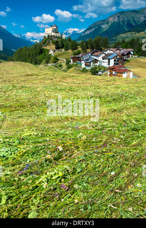 Foin fauché avec fleurs sauvages dans la vallée de la Basse-engadine, Suisse Banque D'Images