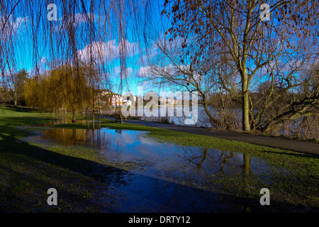 Tamise Radnor Gardens England UK Twickenham Strawberry Hill Banque D'Images