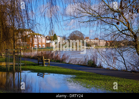 Tamise Radnor Gardens England UK Twickenham Strawberry Hill Banque D'Images