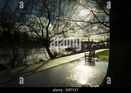 Tamise Radnor Gardens England UK Twickenham Strawberry Hill Banque D'Images