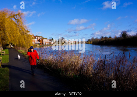 Thames Path Radnor Gardens England UK Twickenham Strawberry Hill Banque D'Images