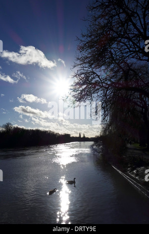 Tamise Twickenham Banque D'Images