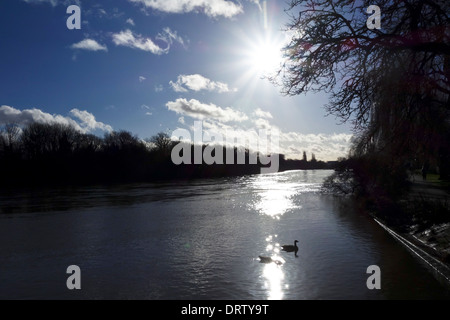 Tamise Twickenham Banque D'Images