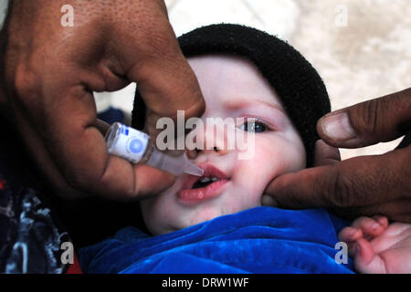 (140202) -- PESHAWAR, le 2 février 2014 (Xinhua) -- un agent de santé pakistanais contre la poliomyélite donne à un enfant au cours d'un porte-à-porte, campagne de vaccination dans le nord-ouest de Peshawar au Pakistan, le 2 février 2014. (Xinhua/Umar Qayyum) Banque D'Images