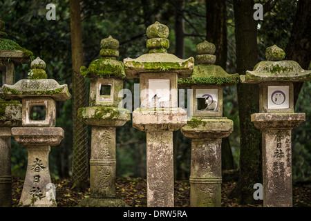 Nara, Japon. Lanternes japonaises à Kasuga-Taisha. Banque D'Images