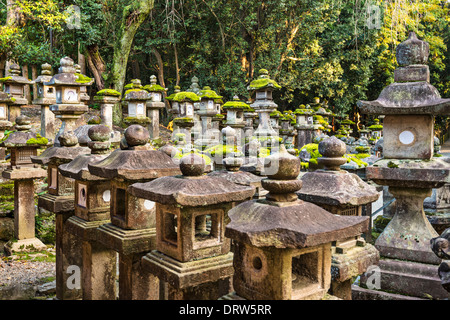 Nara, Japon. Lanternes japonaises à Kasuga-Taisha. Banque D'Images