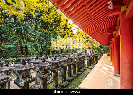 Nara, Japon. Lanternes japonaises à Kasuga-Taisha. Banque D'Images